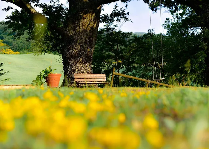 Farm stay Le Casaline Seggiano